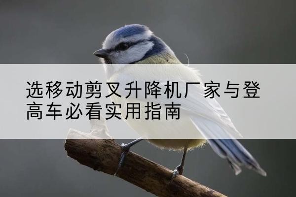 天涯电动升降机厂家-选移动剪叉升降机厂家与登高车必看实用指南