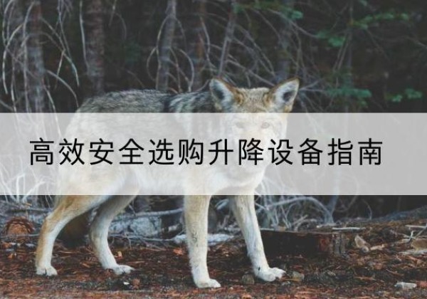 天涯升降货梯厂家推荐-*安全选购升降设备指南