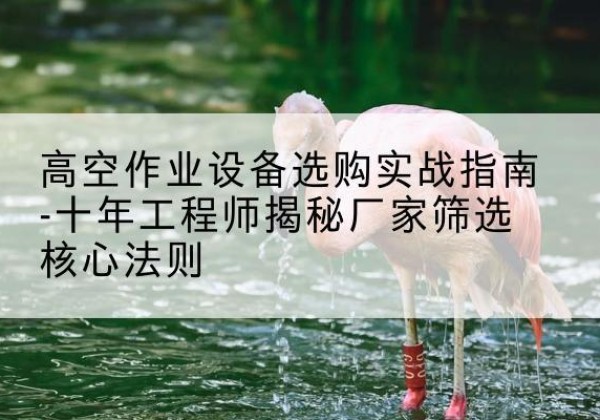 天涯剪叉式升降机厂家-高空作业设备选购实战指南-十年工程师揭秘厂家筛选核心法则